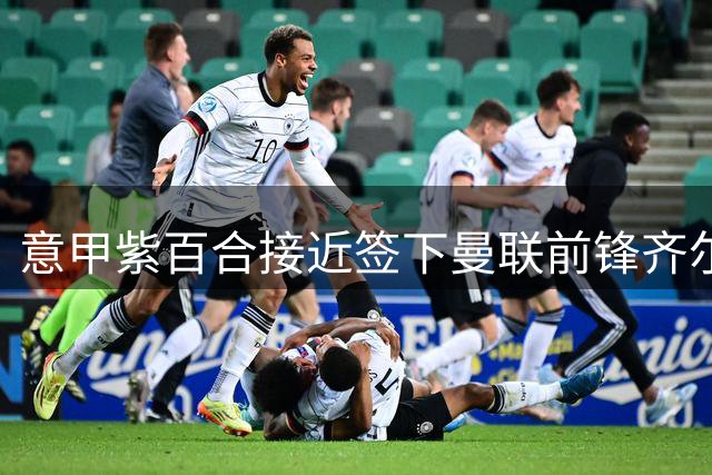 意甲紫百合接近签下曼联前锋齐尔克泽